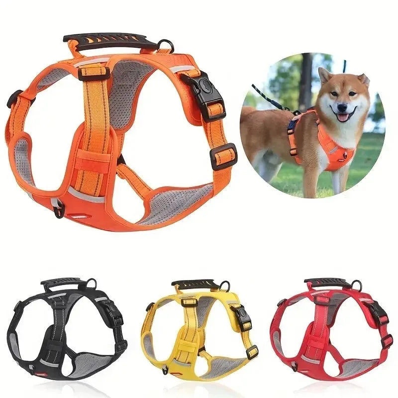 Polyester dog harness chest strap lead set in multiple colours with adjustable fitting