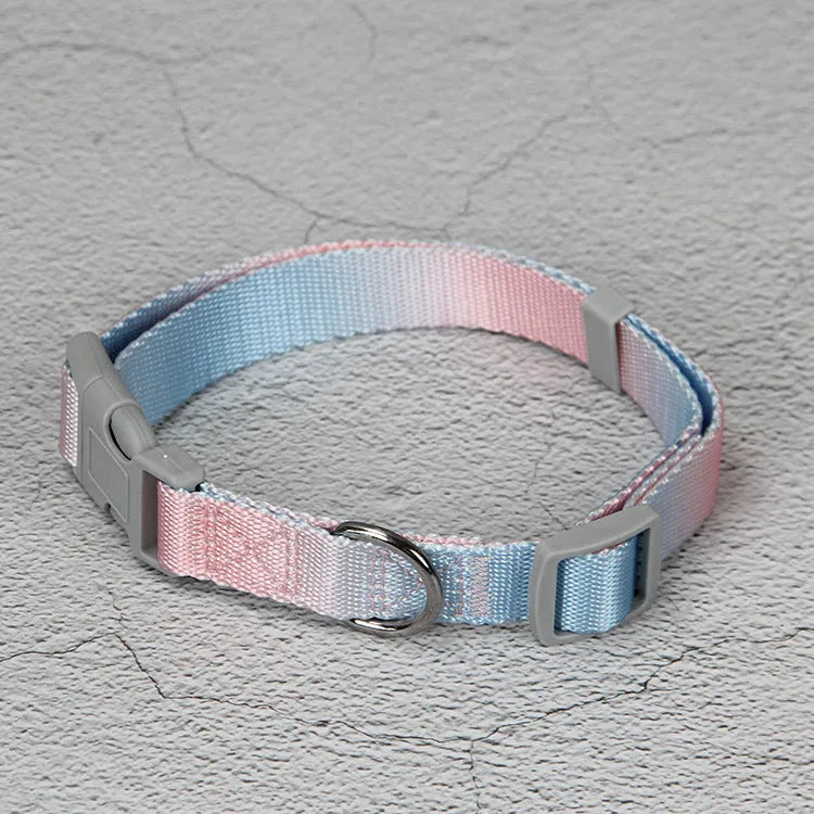 Gradient colour nylon dog leash and harness set shown in pink and blue combination.