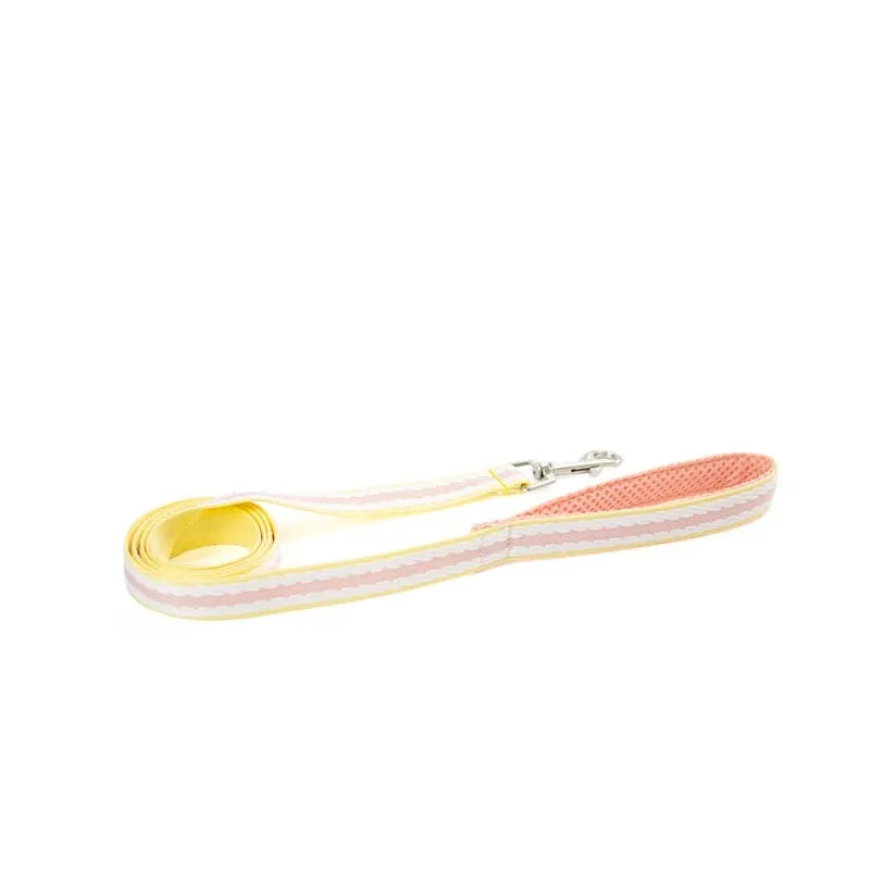 Lightweight polyester dog harness and hand-holding traction rope in sea salt yellow colour on a small dog.