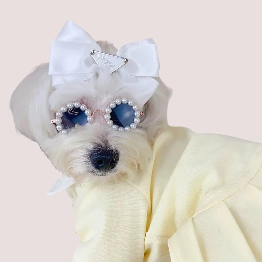Pearl-decorated round sunglasses for cats and dogs in multiple colours and two sizes