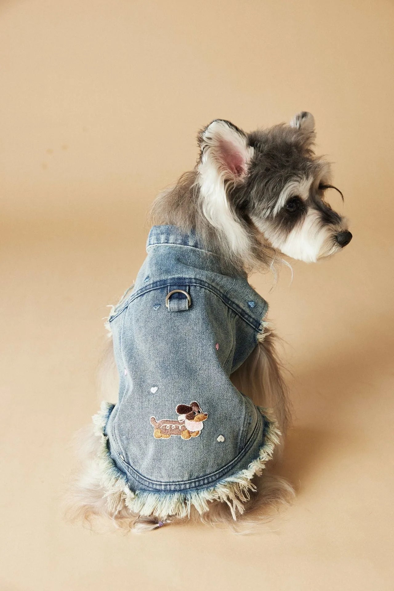 Embroidered raw edge denim vest for small dogs Maltese Schnauzer Teddy Bear sleeveless casual wear