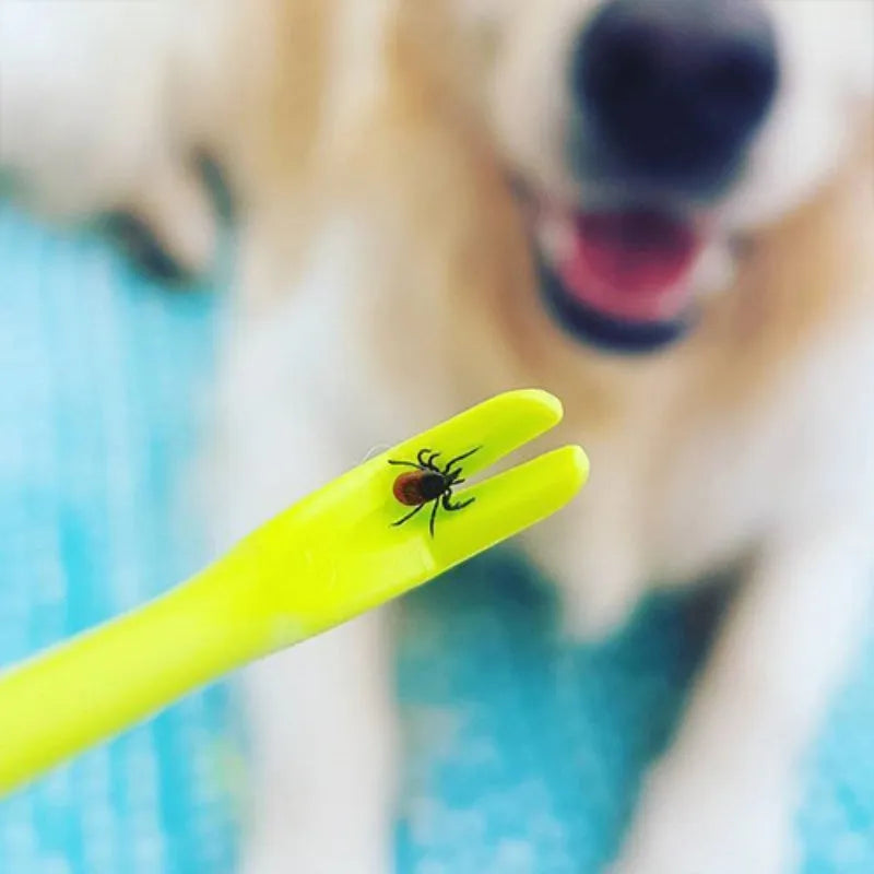 3 plastic tick removal tools for pets in blue and green colours