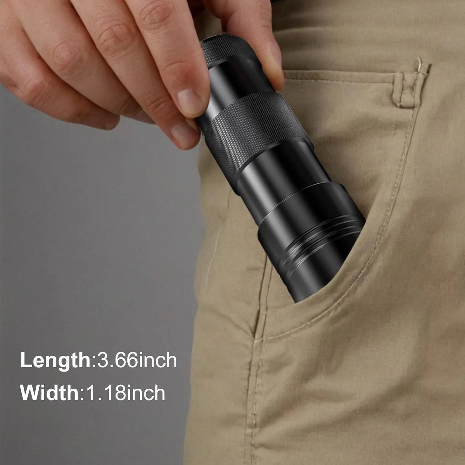 Black or silver aluminium UV flashlight for detecting pet stains and insects.