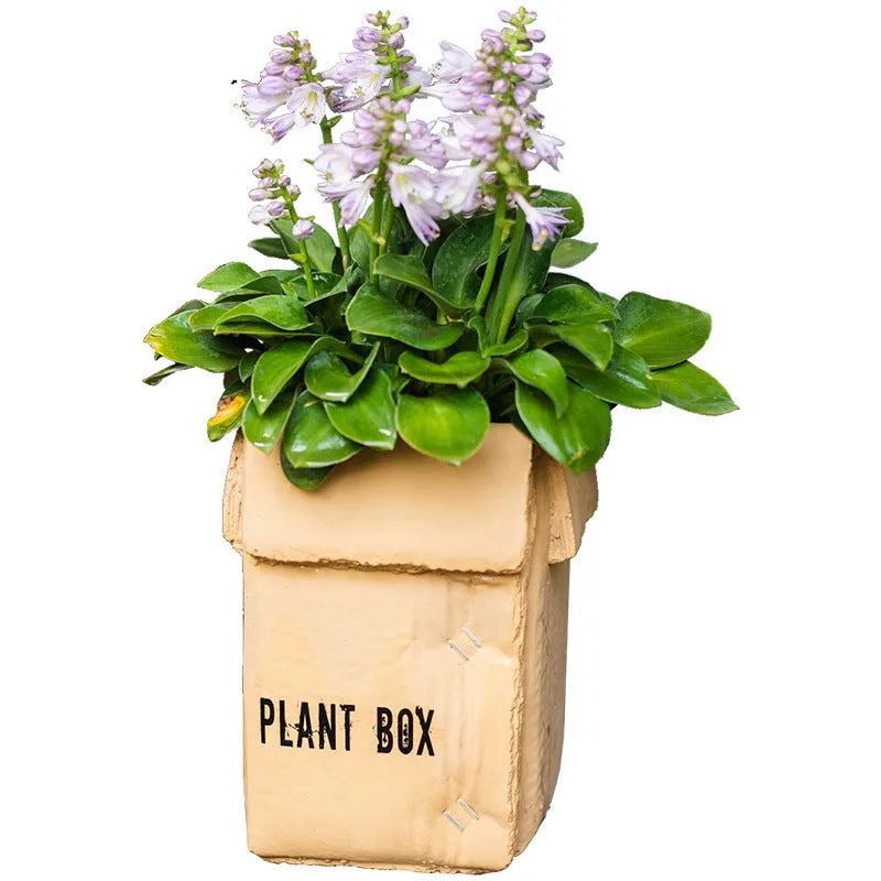 Cement flowerpot with brown paper box design on a floor, showing pre-perforated drainage holes.