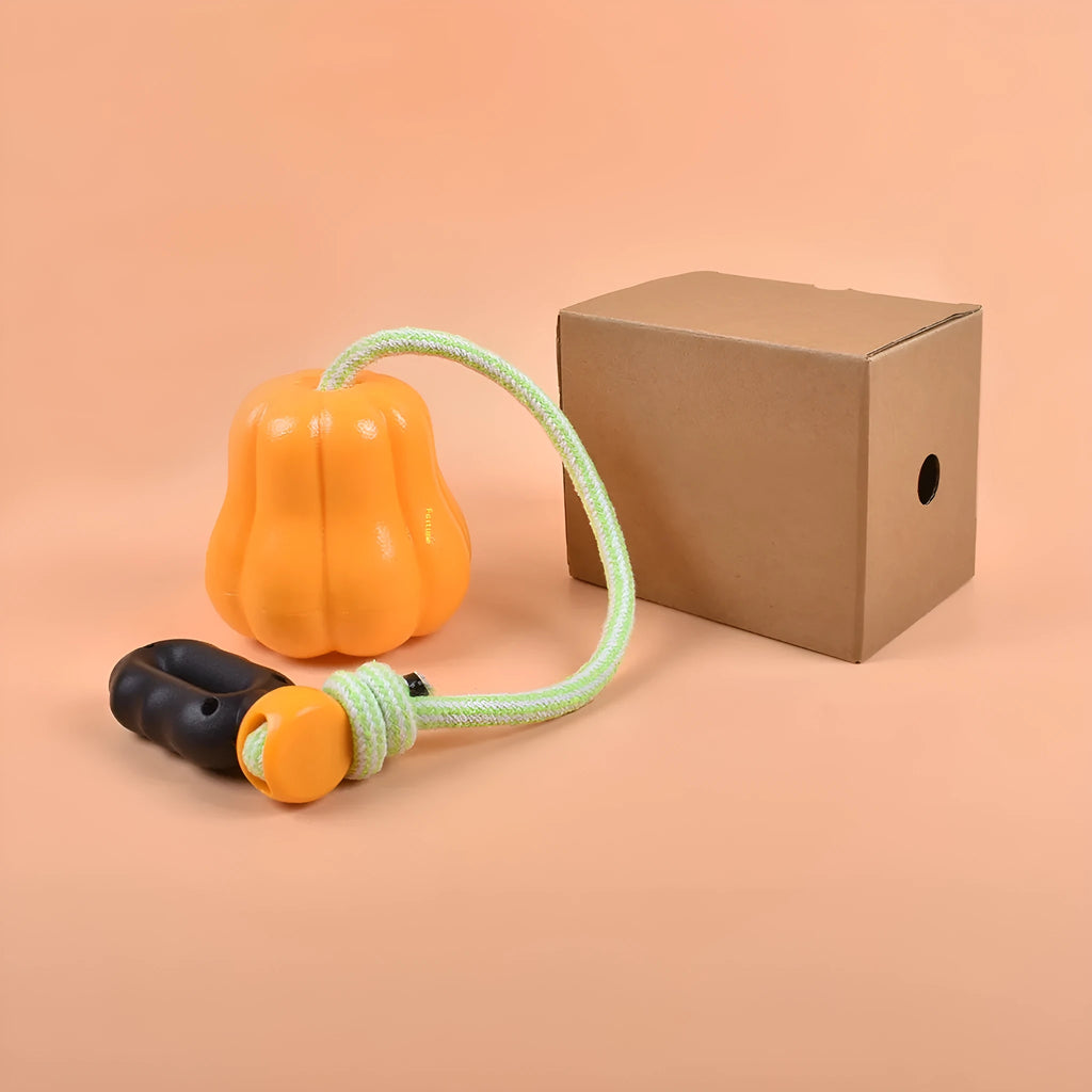 Bite Molar orange plastic pumpkin dog toy with rope attached for outdoor chewing and fetch games