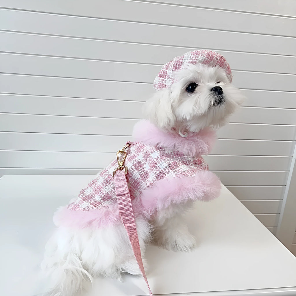 Pink polyester cat costume with beret and cloak outfit for female cats
