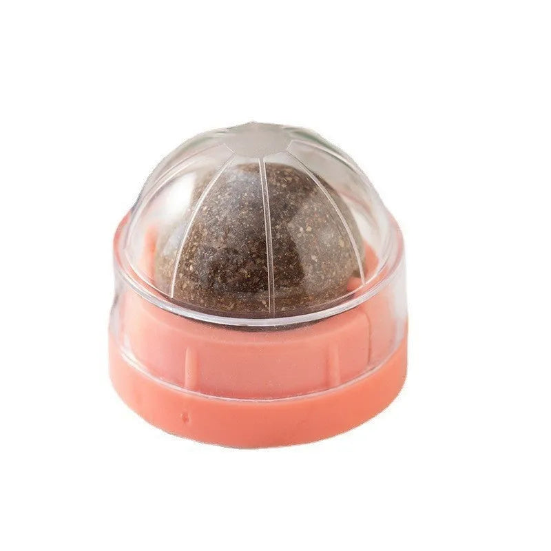 Plastic catnip ball toy in assorted colours with a textured surface for feline teeth cleaning.