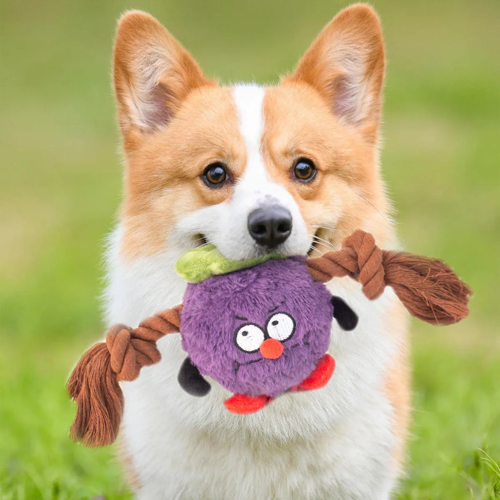 Green and purple interactive dog toy with cotton rope knots and a soft plush centre.