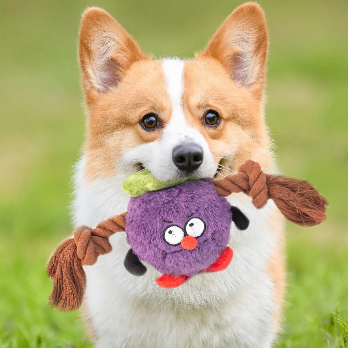 Green and purple interactive dog toy with cotton rope knots and a soft plush centre.