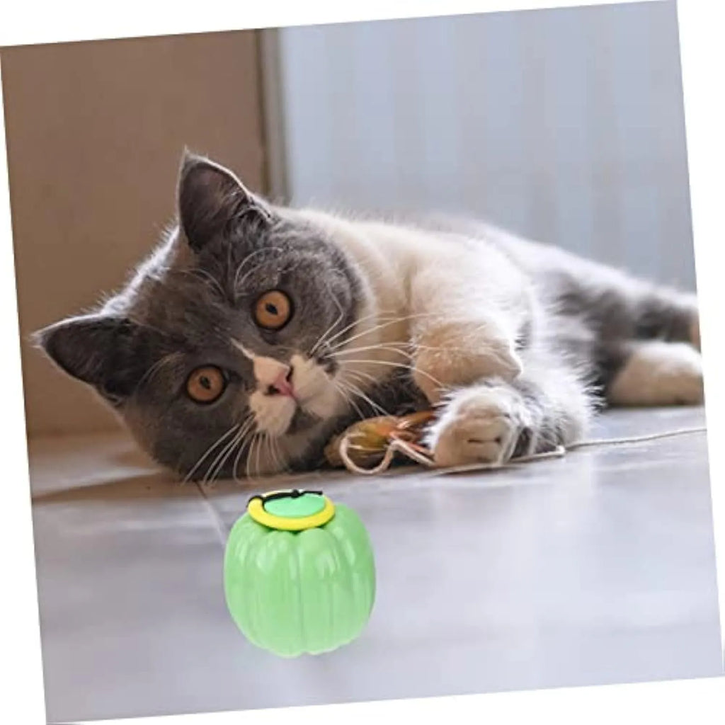 Plastic pumpkin dog chew toy with squeaker for small dogs in orange colour