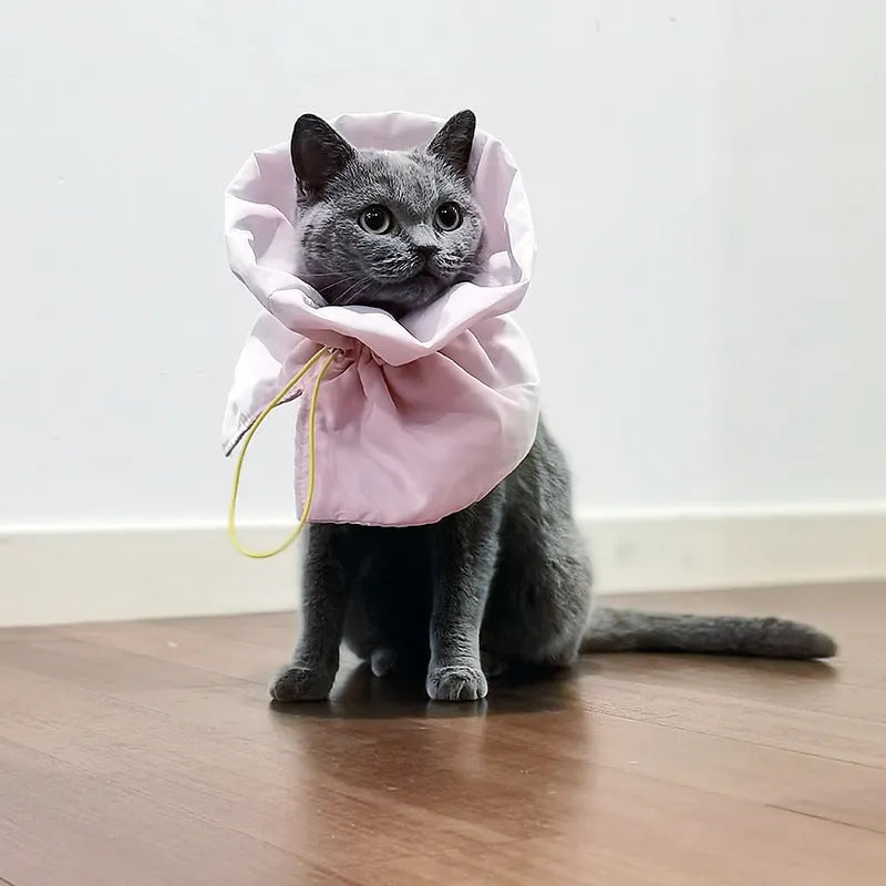 Adjustable soft cat cone collar in light blue protecting wound while allowing eating access