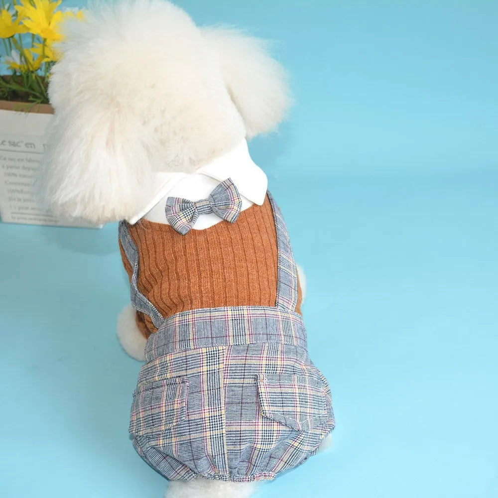 Cotton dog shirt suit for small pets in dark blue and orange colour options
