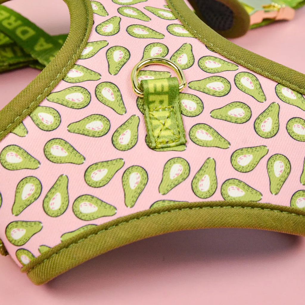 Polyester chest-back dog harness and lead set in a choice of six colourful patterns, sized for medium and large dogs.