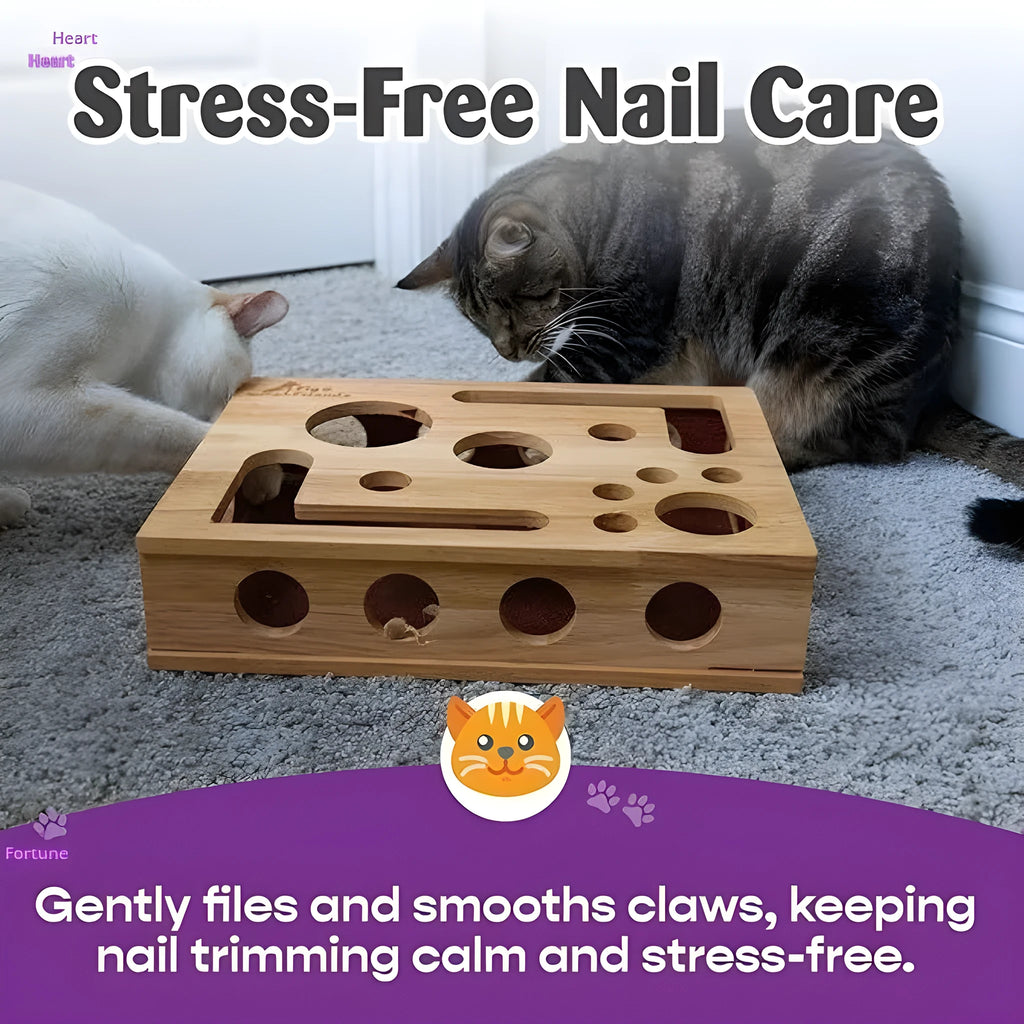 Solid wood square maze cat toy on wooden table natural colour