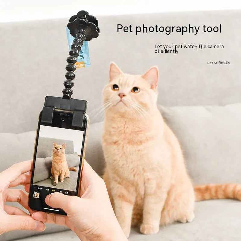 Black pet photography tool holding a mobile phone and a dog treat, on a white background.