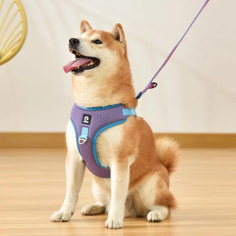 Adjustable mesh dog harness with reflective trim in multiple colours for small medium pets