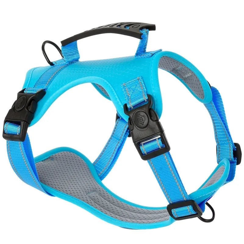 Polyester dog harness chest strap lead set in multiple colours with adjustable fitting