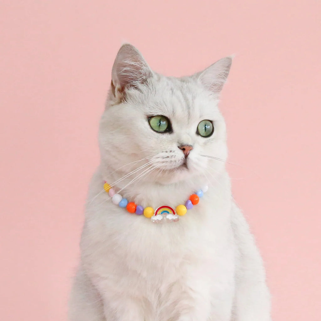 Colourful plastic bead cat necklace in small flower, rainbow, or peach design on a cat.