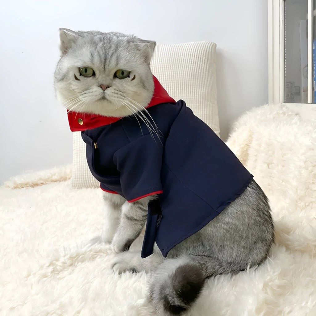 Colourful pet hoodie with polygonum pattern for cats and dogs, available in small and medium sizes