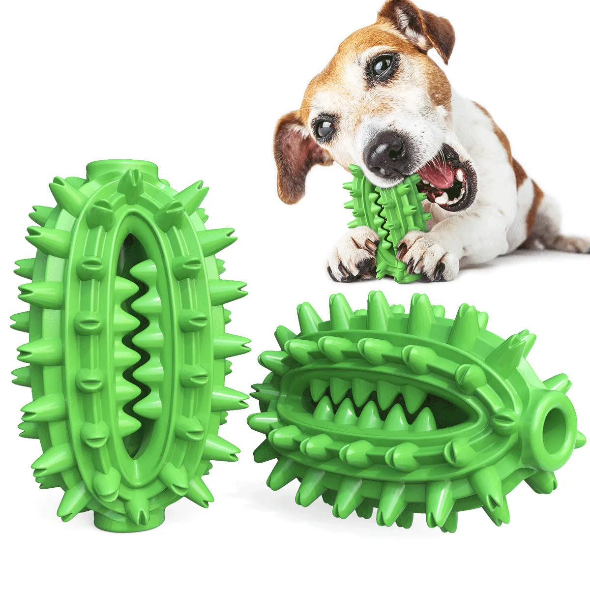 Green cactus-shaped dog dental chew toy with textured bumps for teeth cleaning