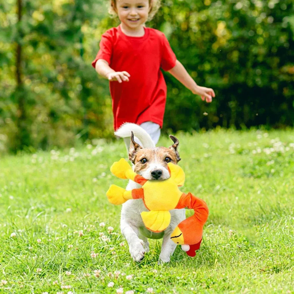 Screaming chicken squeaky dog toy in black, green or orange colours for bite-resistant chewing