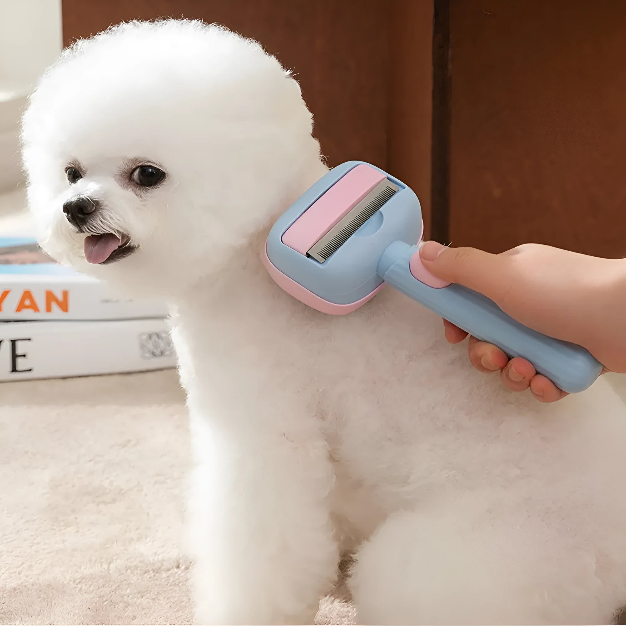 Blue pet grooming brush with double-sided deshedding rake and dematting comb tool