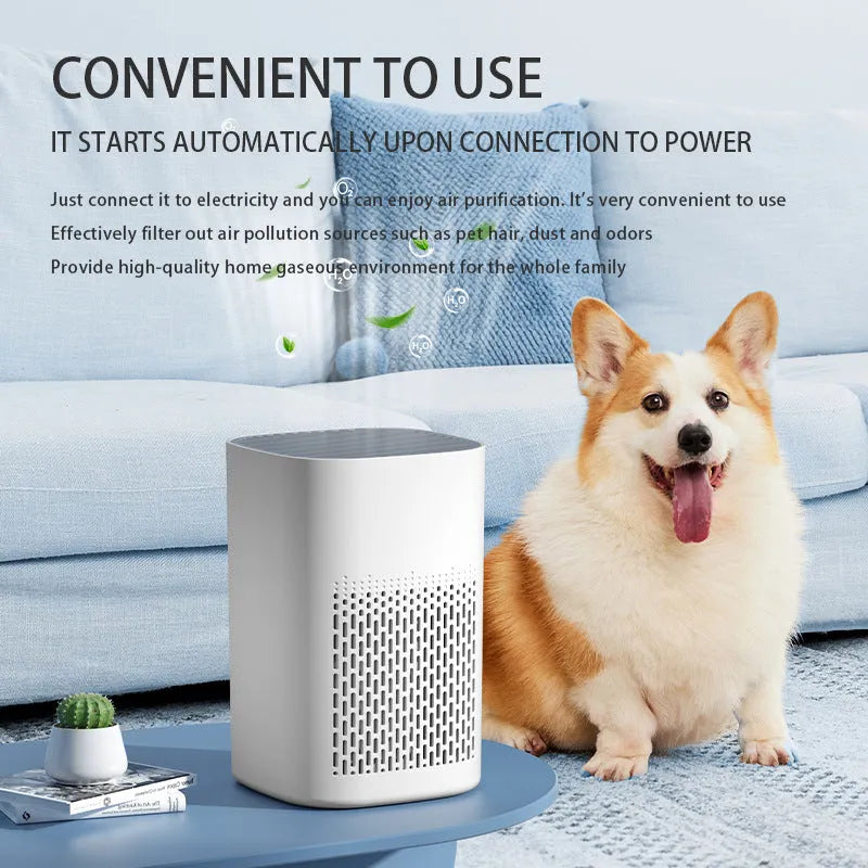 Simple style desktop air purifier with USB power connection for small room use