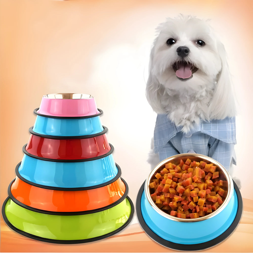 Stainless steel pet bowl with colourful melamine outer pot and non-slip rubber base
