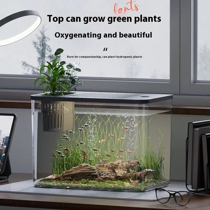 Black and white plastic betta fish tanks with lids, showing compact rectangular design.