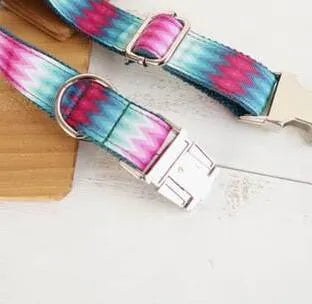 Pattern dog collar colour ribbon traction set in green polyester webbing on white background