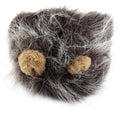 Small dog wearing a black lion mane hat with ears and scarf for a Halloween costume