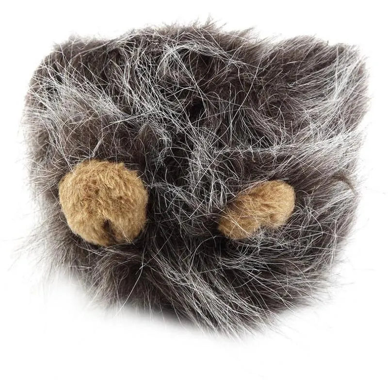 Small dog wearing a black lion mane hat with ears and scarf for a Halloween costume