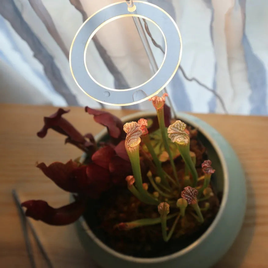 USB LED full spectrum plant grow light with acrylic stick on a table.