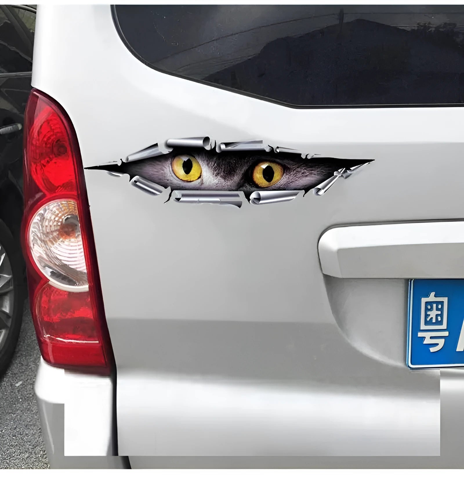 3D Tiger Eye and Eagle Eye car bumper stickers on vehicle door