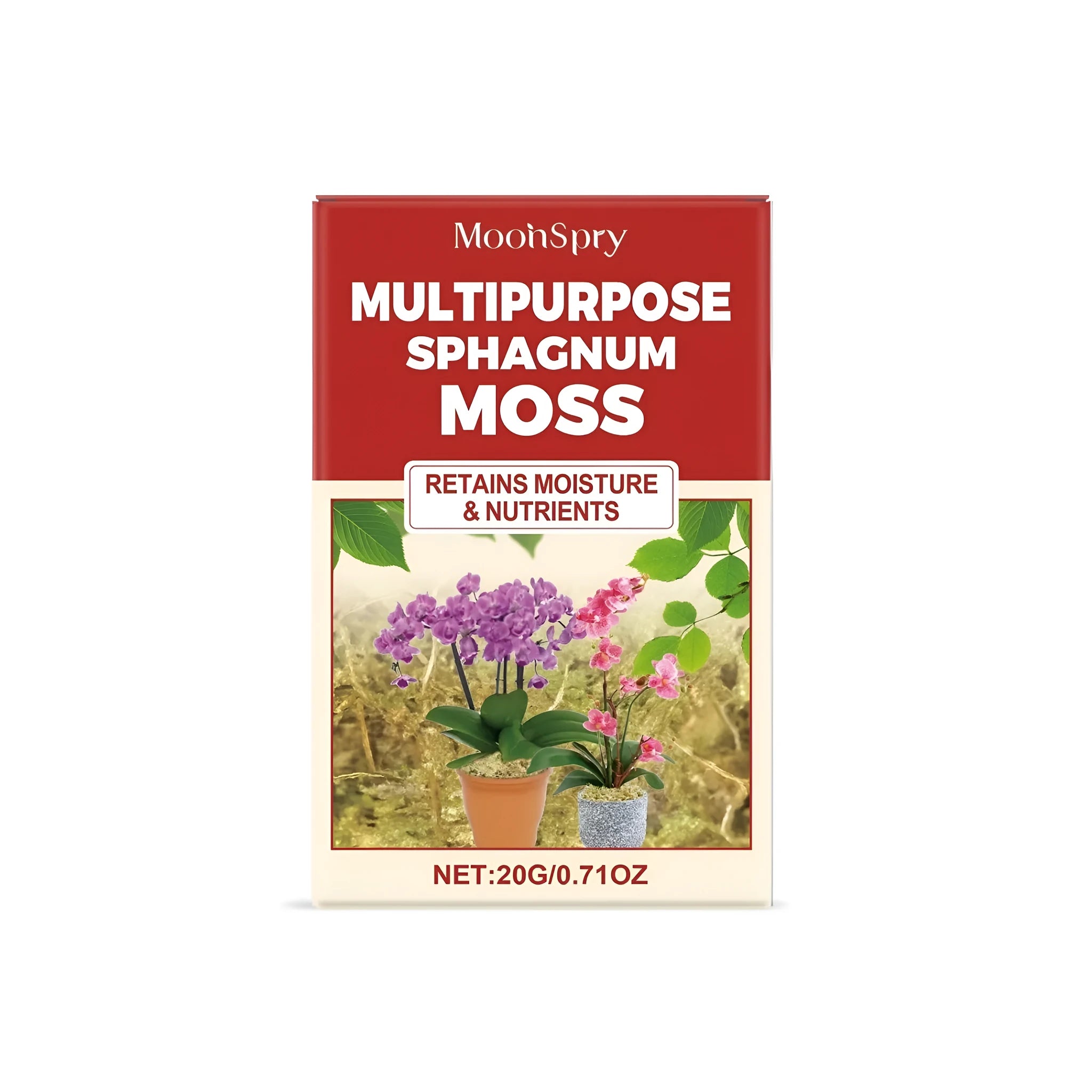 20g pack of loose dried sphagnum moss for craft and plant displays.