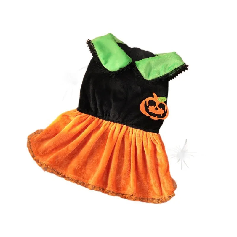 Small dog wearing a orange crystal velvet Halloween pumpkin skirt costume with green leaf accents.