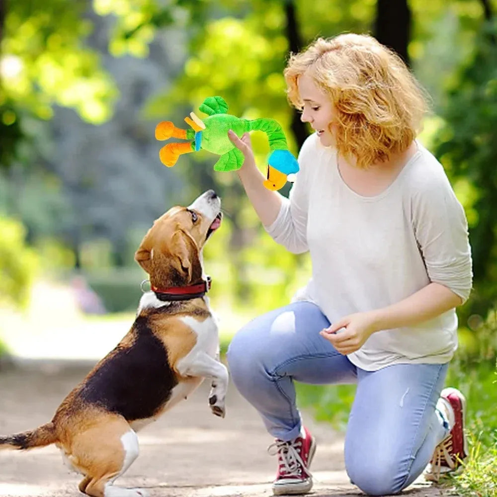 Screaming chicken squeaky dog toy in black, green or orange colours for bite-resistant chewing