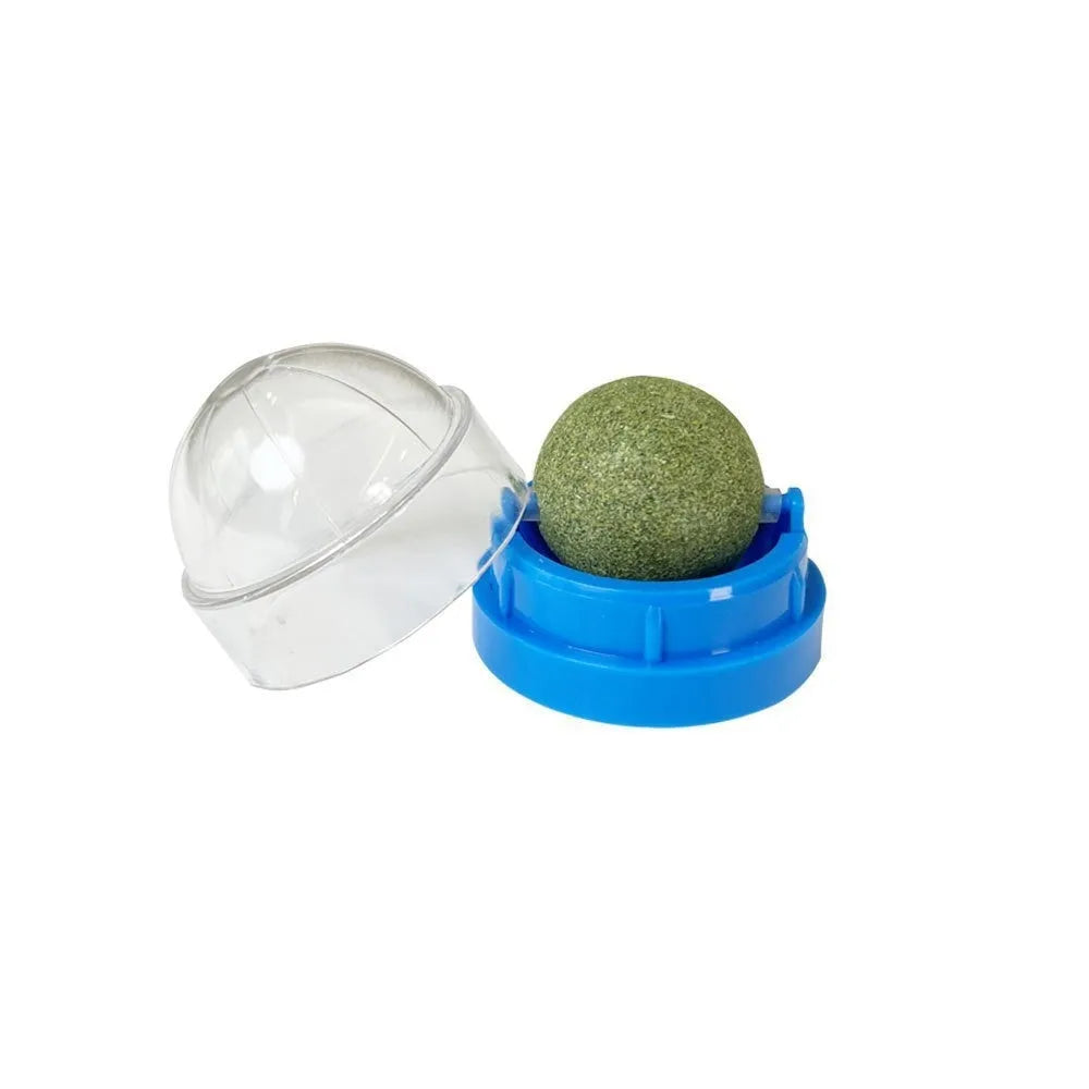 Plastic catnip ball toy in assorted colours with a textured surface for feline teeth cleaning.