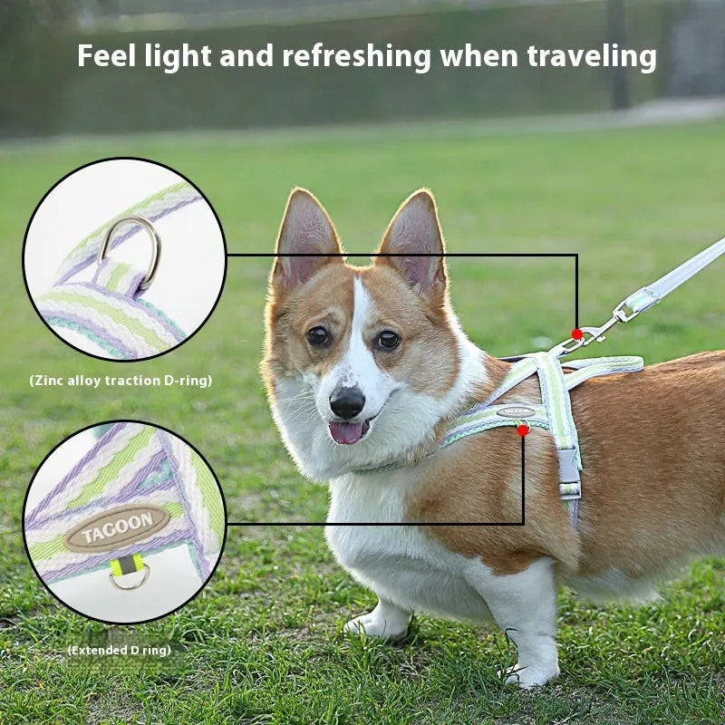 Lightweight polyester dog harness and hand-holding traction rope in sea salt yellow colour on a small dog.