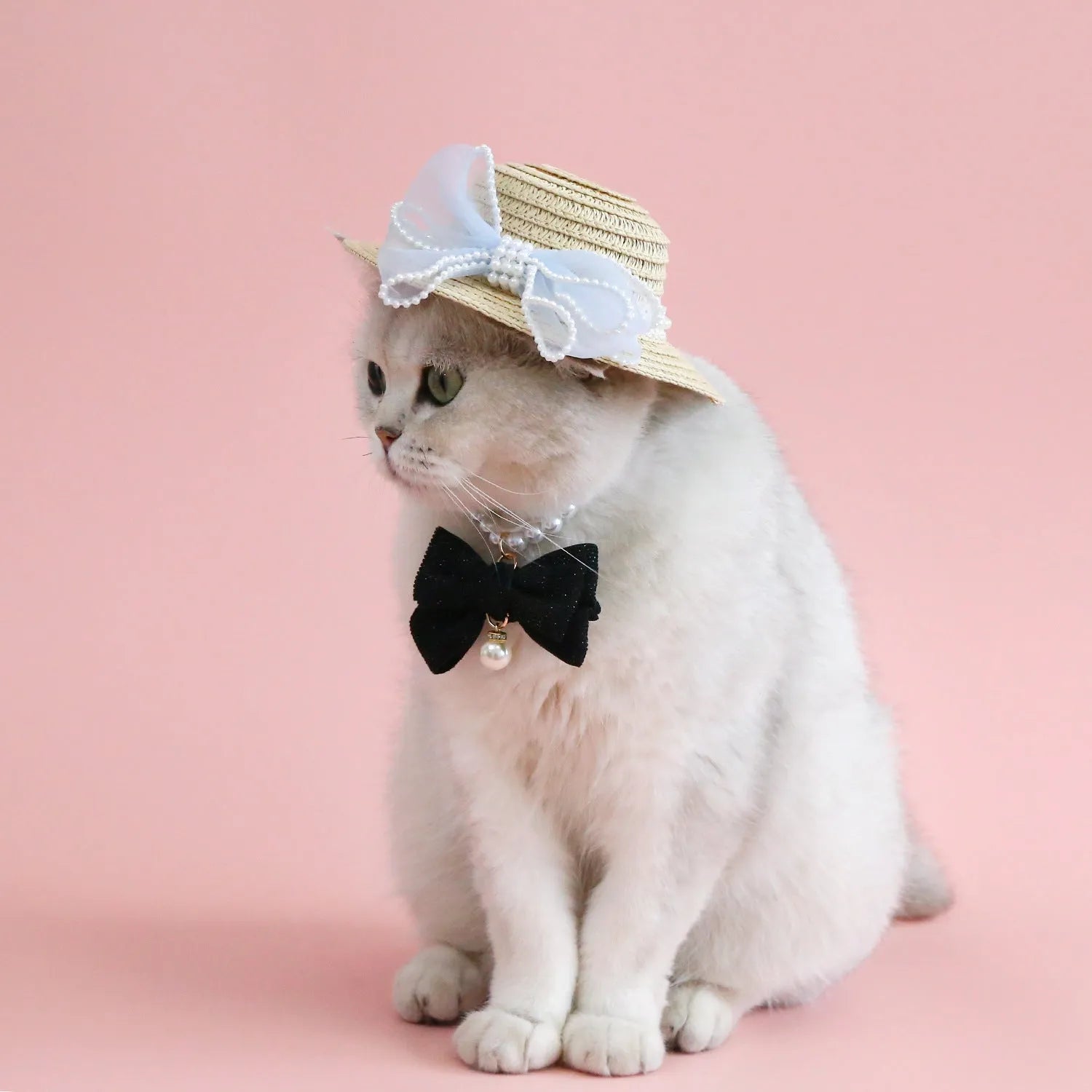 Pet cat wearing princess-style straw hat with woven pearl bow decoration in lafite leaves material