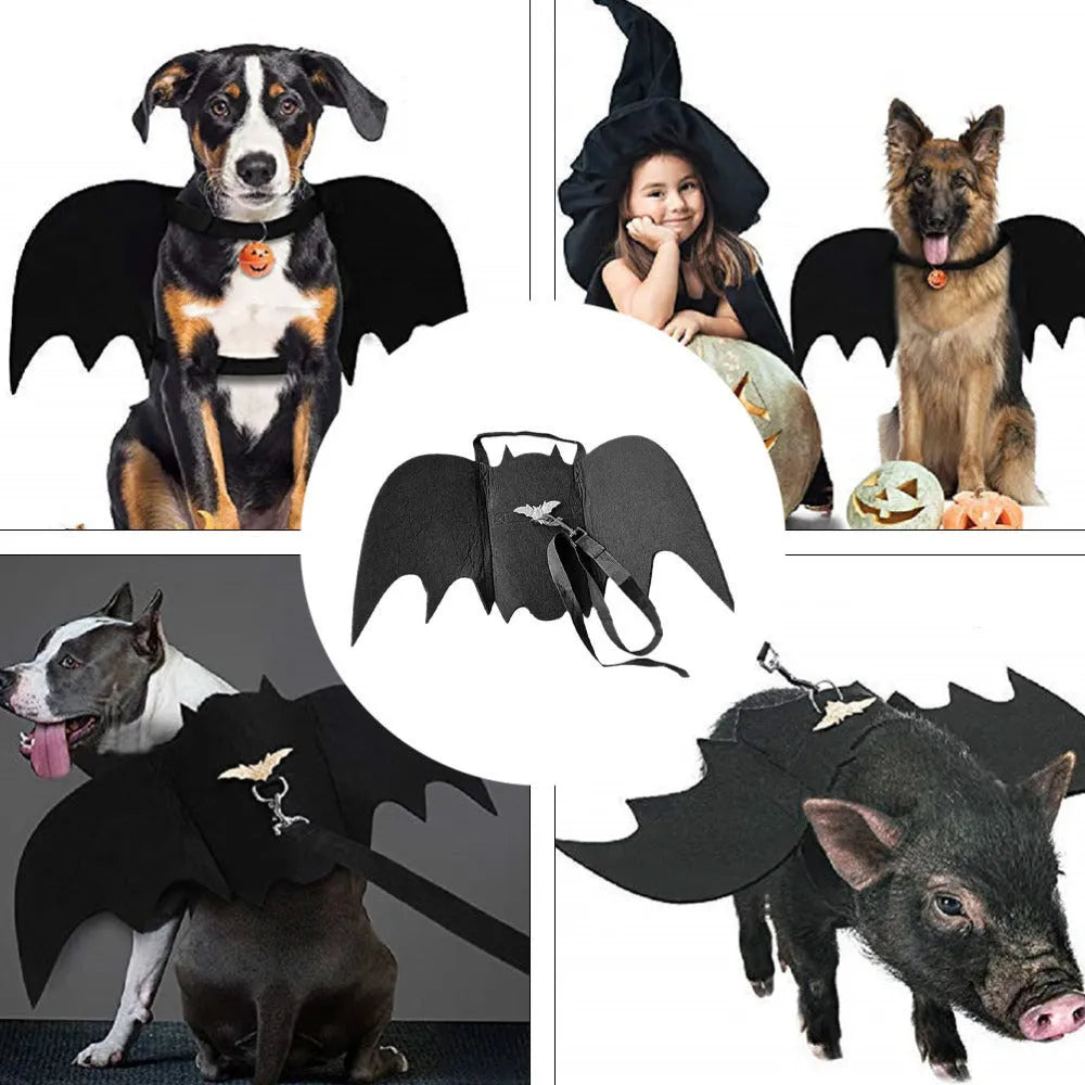 Black bat wing pet costume on dog, polyester felt fabric, Halloween outfit with wing shape