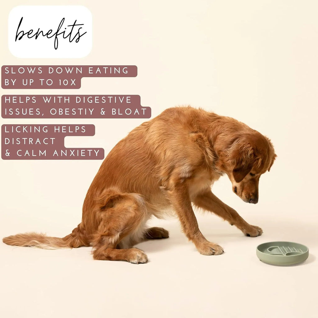 Silicone slow feeder dog bowl with textured ridges and nooks for slow eating, shown in assorted colours.