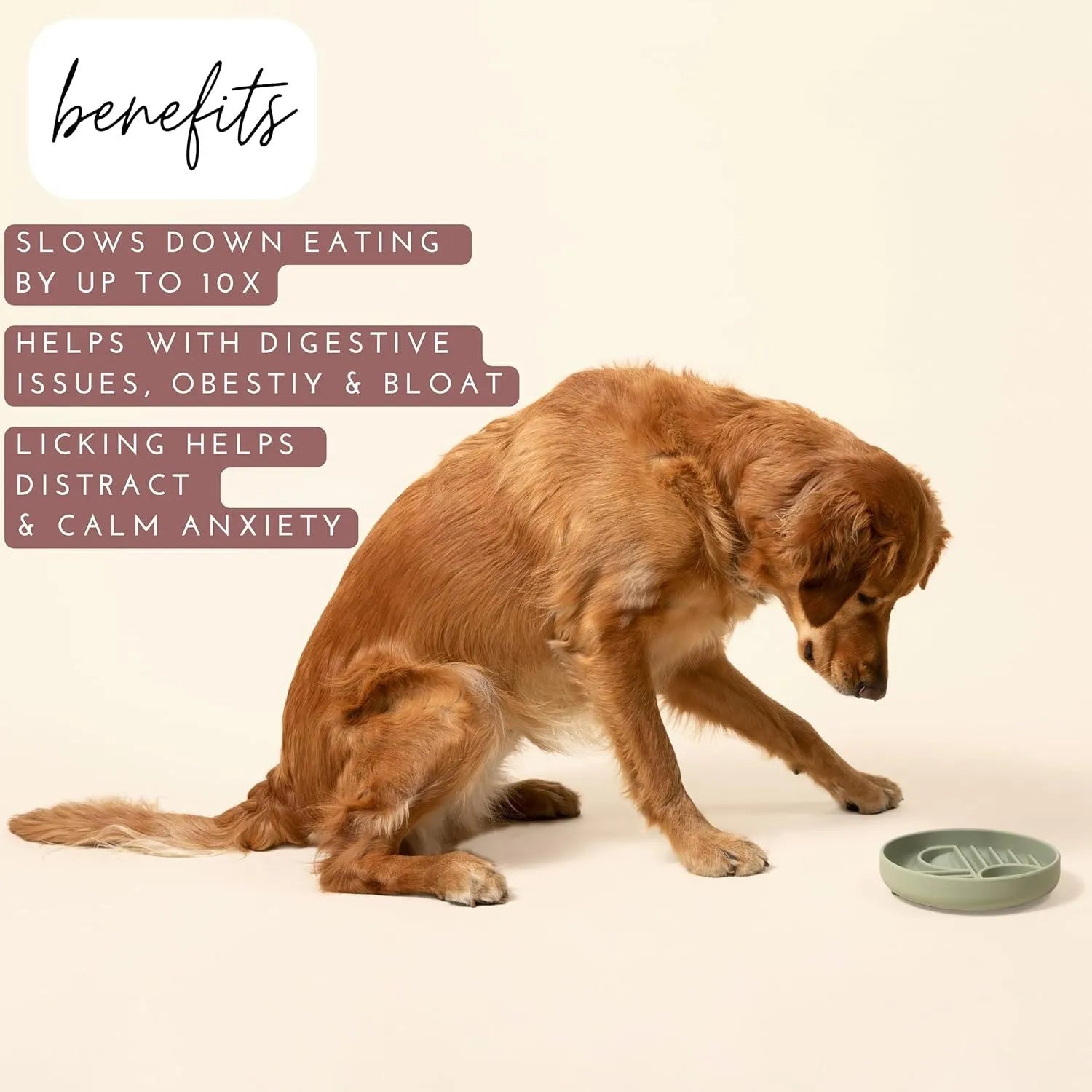 Silicone slow feeder dog bowl with textured ridges and nooks for slow eating, shown in assorted colours.