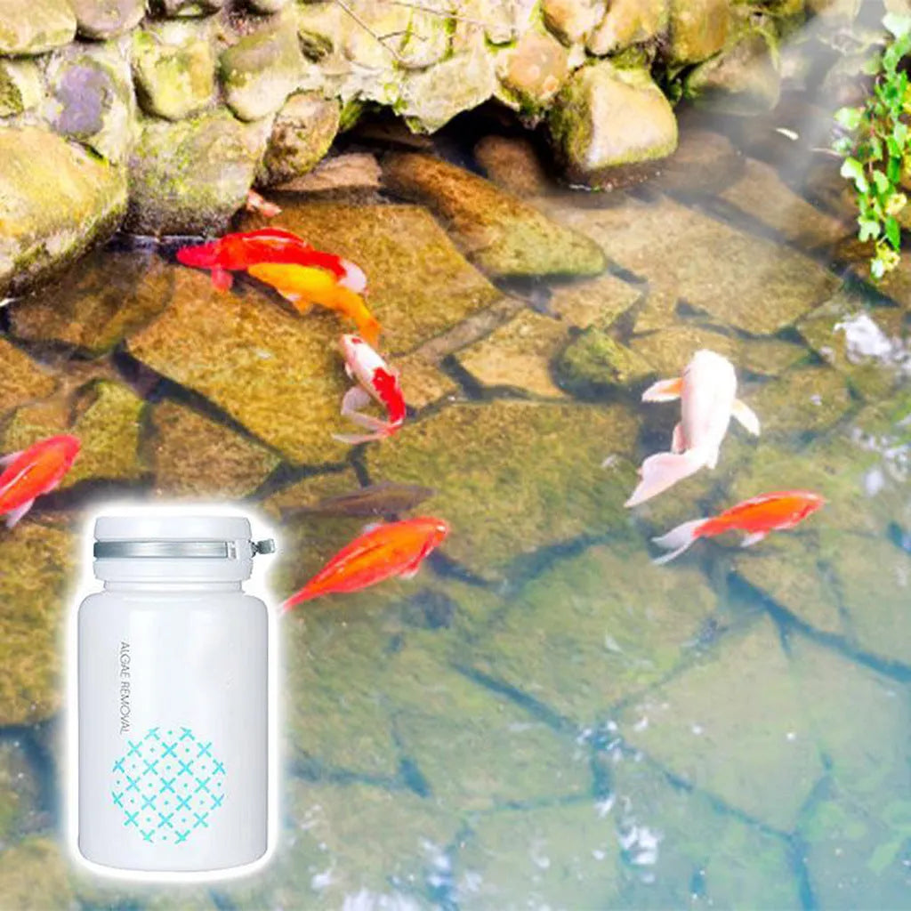 50g swimming pool algaecide container for algae and moss removal in aquatic environments