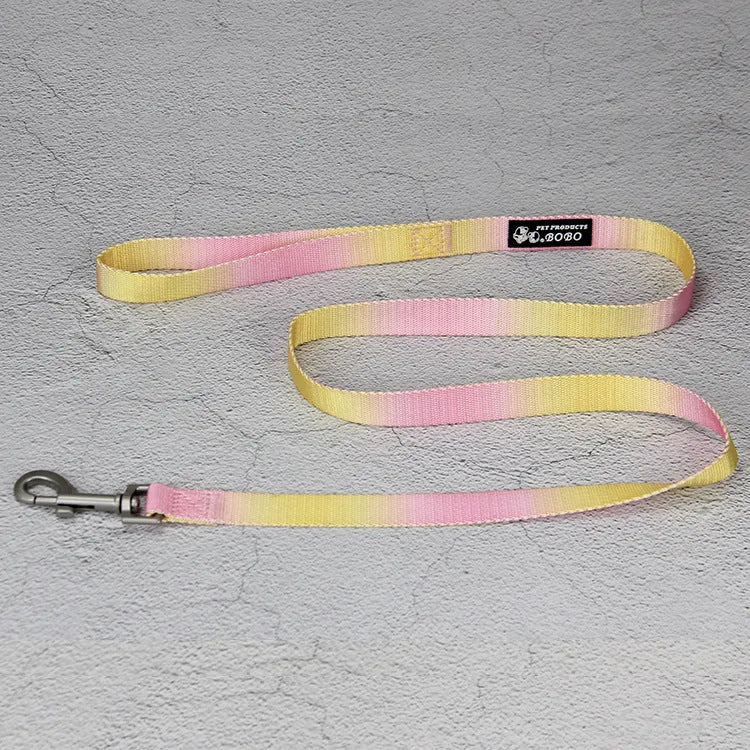 Gradient colour nylon dog leash and harness set shown in pink and blue combination.