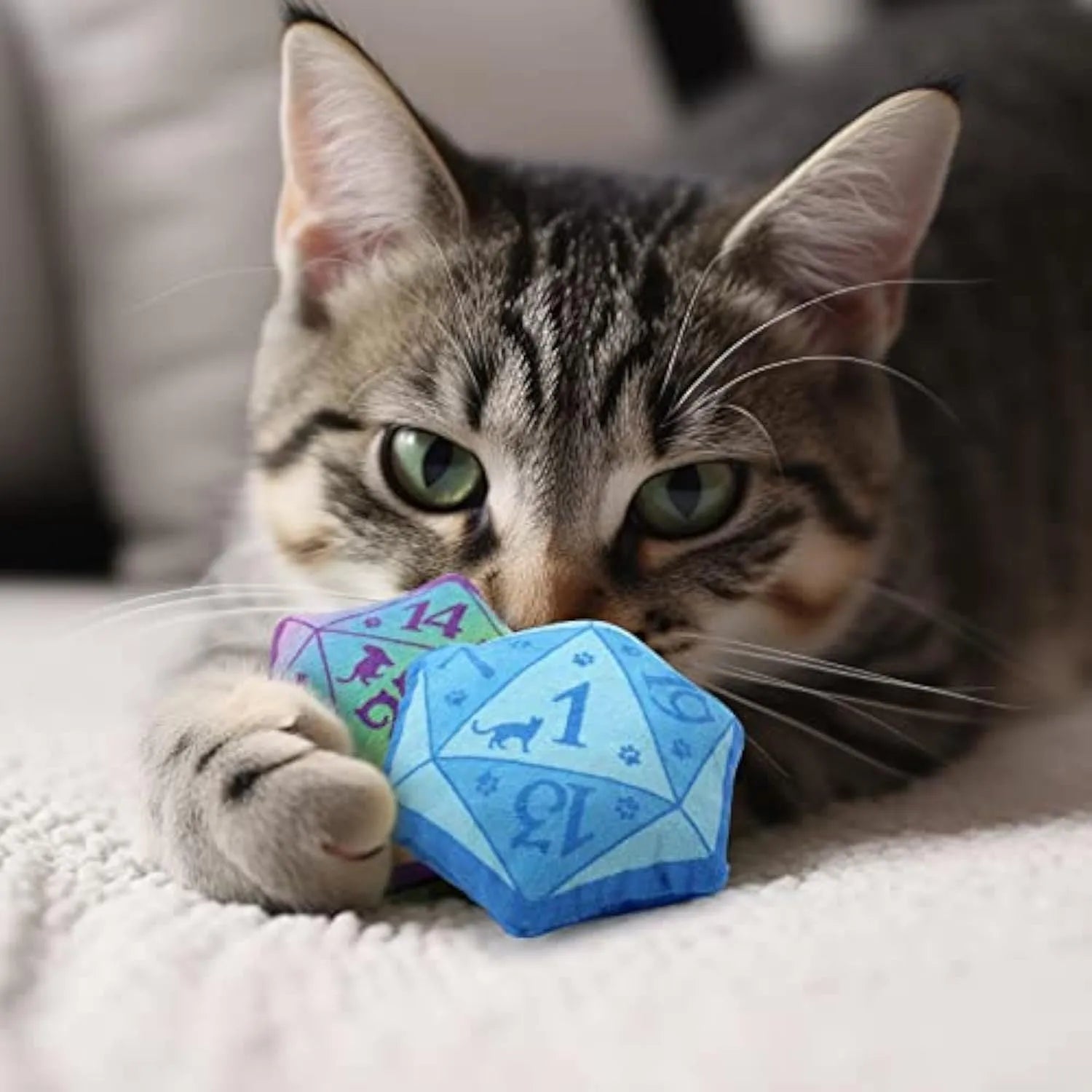 Blue dice-shaped plush cat toy with organic catnip filling for role playing games