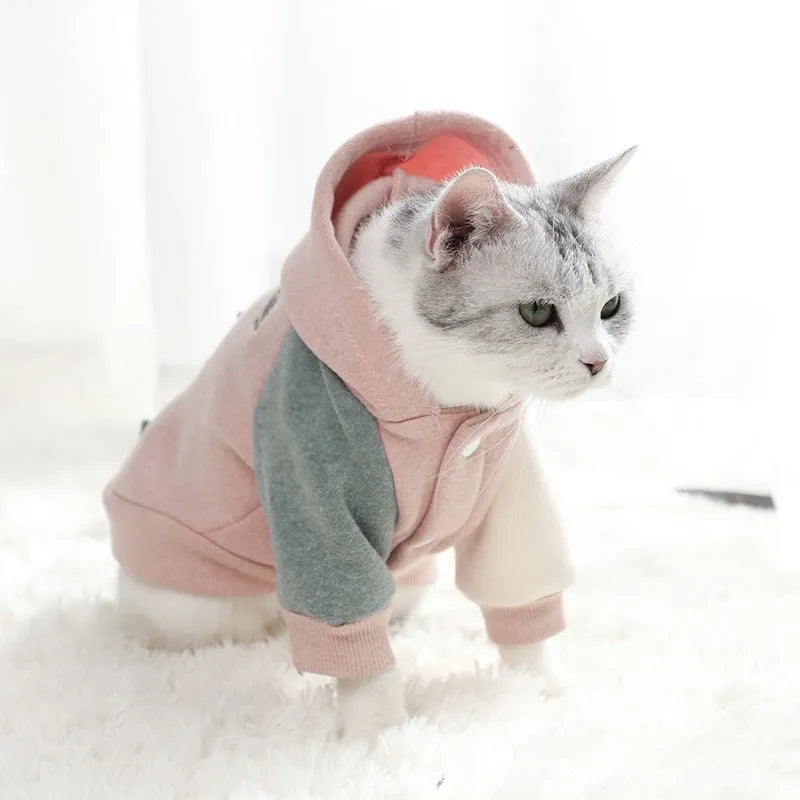 Cotton dog sweatshirt in brown, green, or pink colours for casual pet wear.