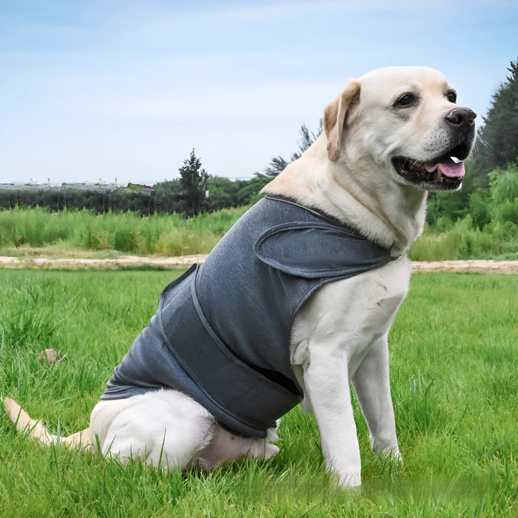 Brown brocade cotton dog tank top for separation anxiety relief with casual pet clothing design