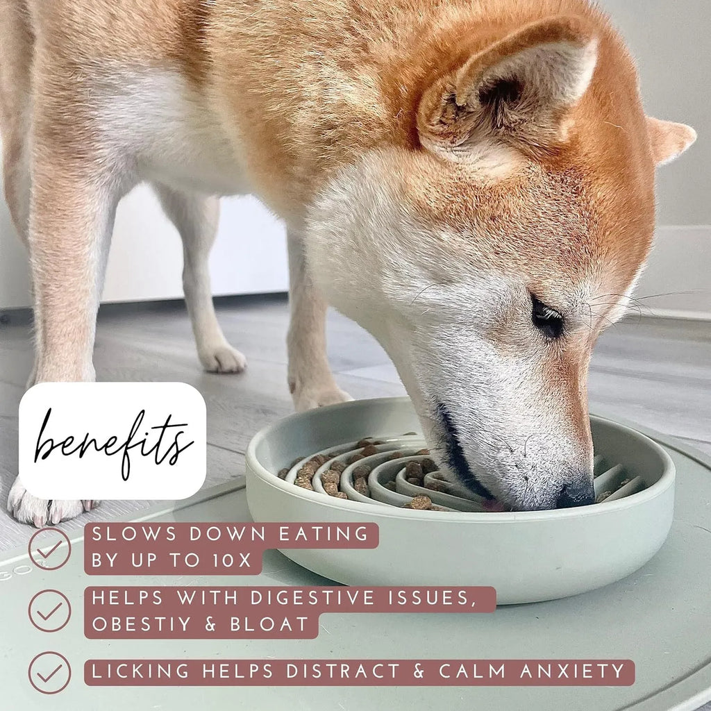 Silicone slow feeder dog bowl with textured ridges and nooks for slow eating, shown in assorted colours.