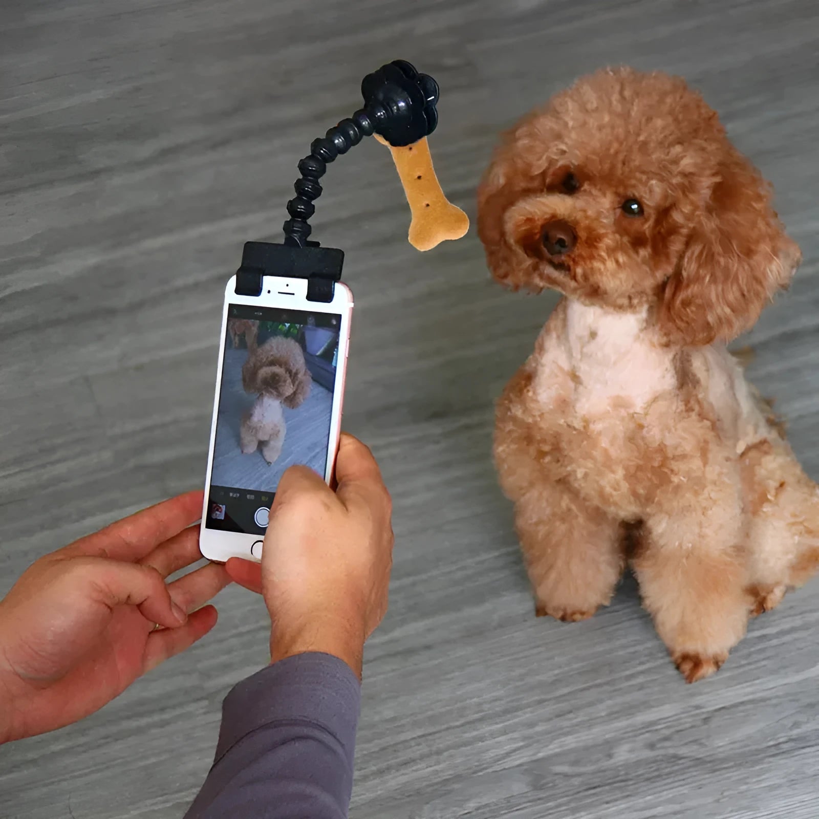 Black pet photography tool holding a mobile phone and a dog treat, on a white background.